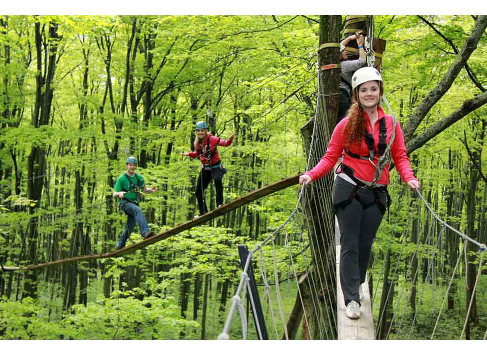 Family fun Nature Adventures in Blue Mountain - Treetop walking with