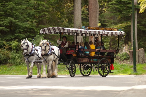 Stanley Park Horse Drawn Carriage Ride